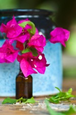 The Blooming Table at FoodPractice.com