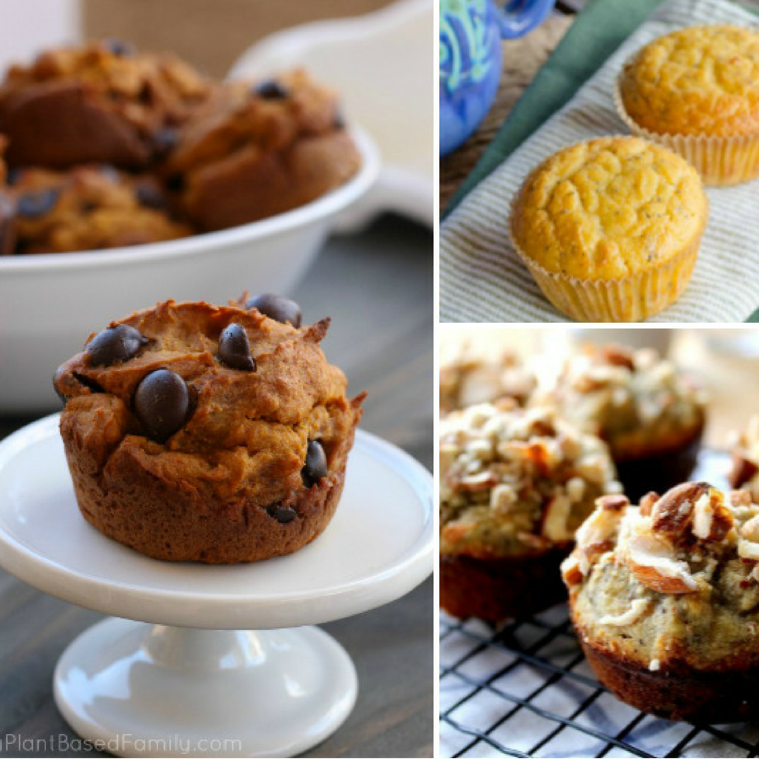 6 Gluten Free Muffin Recipes at FoodPractice.com